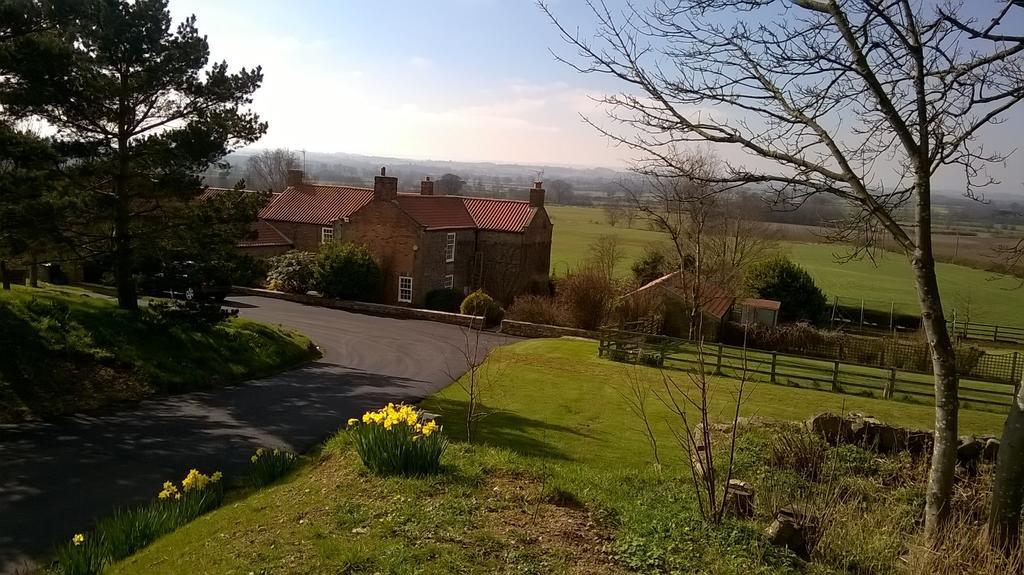 Little Holtby B&B Kirkby Fleetham Bagian luar foto